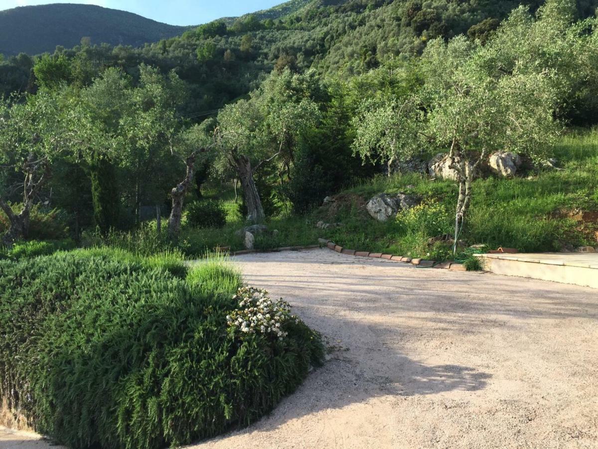 Valuable Rustic Tuscan Swimming Pool, Breathtaking View Of 卡麦奥雷 外观 照片