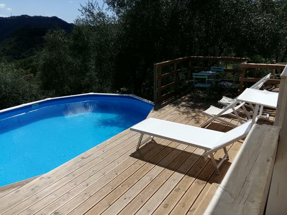Valuable Rustic Tuscan Swimming Pool, Breathtaking View Of 卡麦奥雷 外观 照片